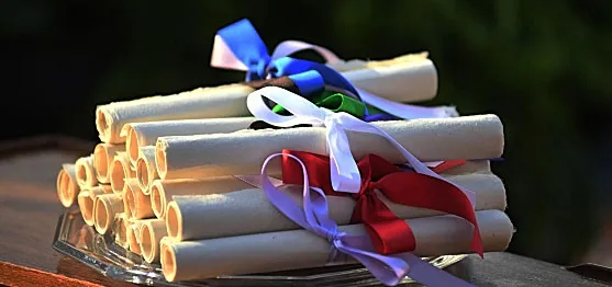 Stack of rolled award certificates wrapped in ribbon