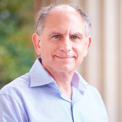 Clifford Stein