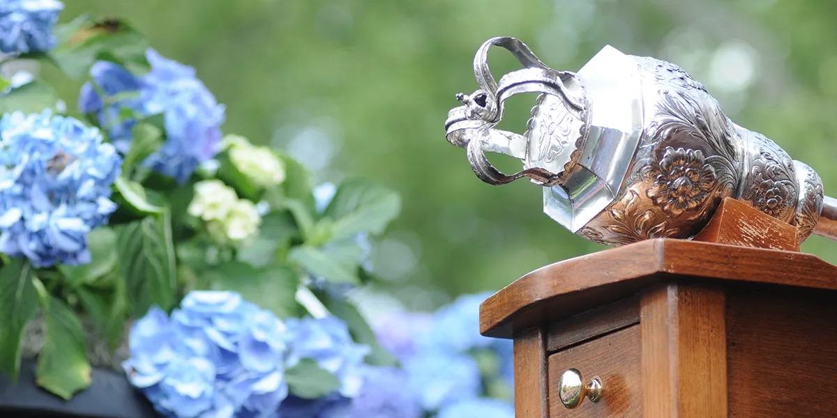 The mace and blue flowers